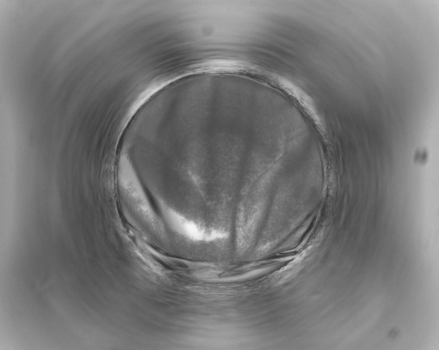 X0000093741473200711131050