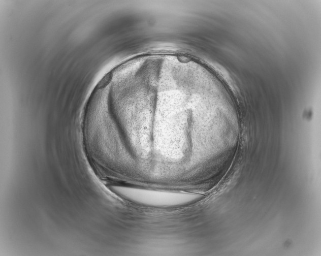 X0000093741475200711131050