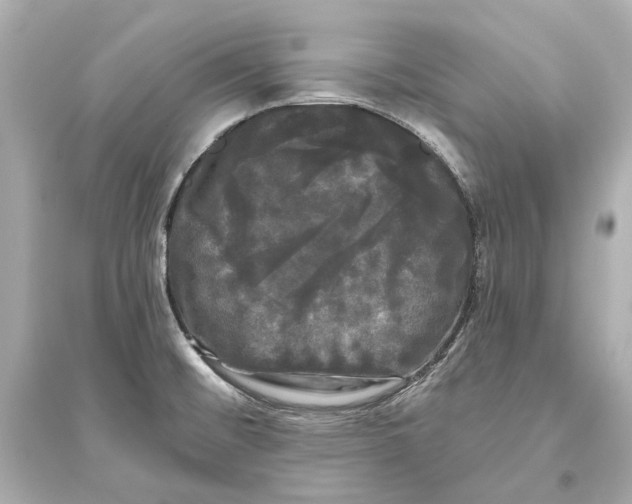 X0000093741476200711131050