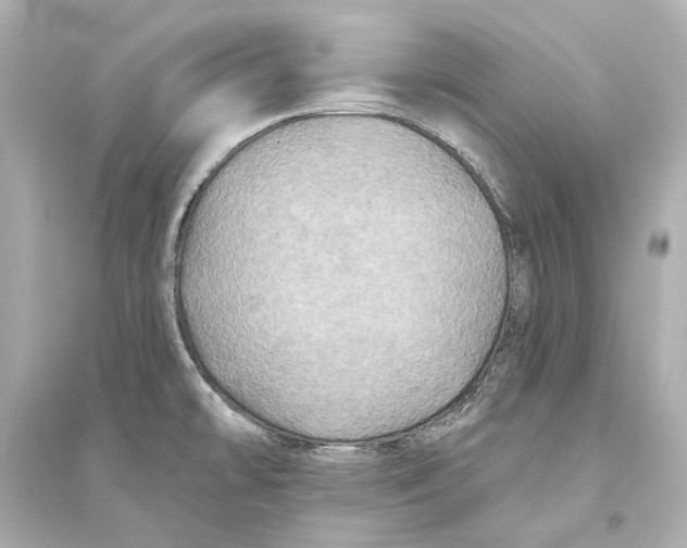 X0000093741478200711131050