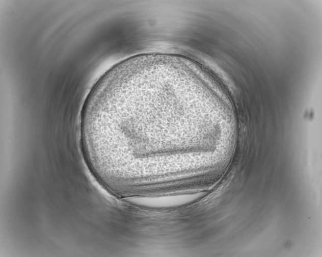 X0000093741479200711131050