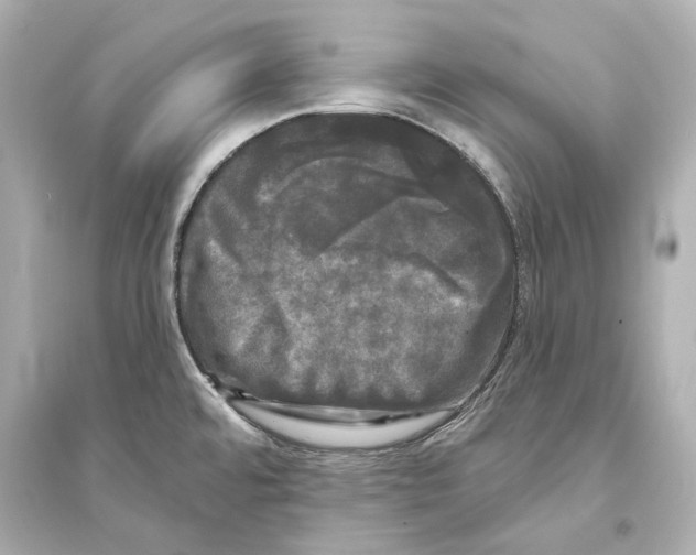 X0000093741480200711131050