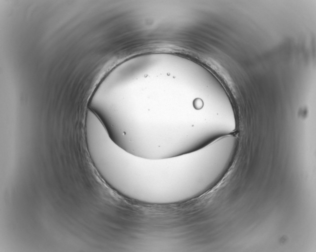 X0000093741481200711131050
