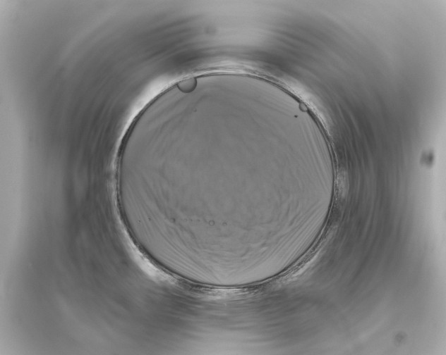 X0000093741482200711131050