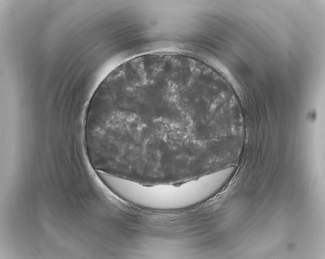 X0000093741483200711131050