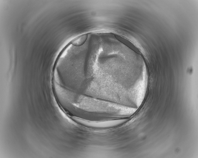 X0000093741484200711131050