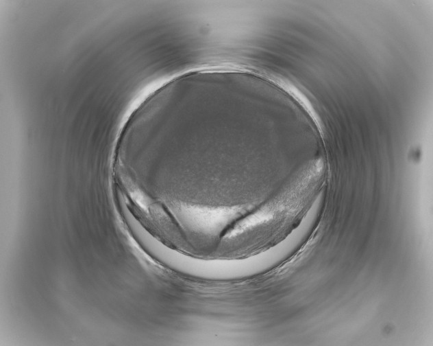 X0000093741485200711131050
