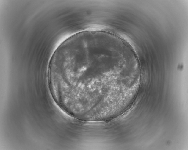 X0000093741487200711131049