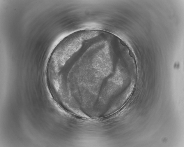 X0000093741488200711131049