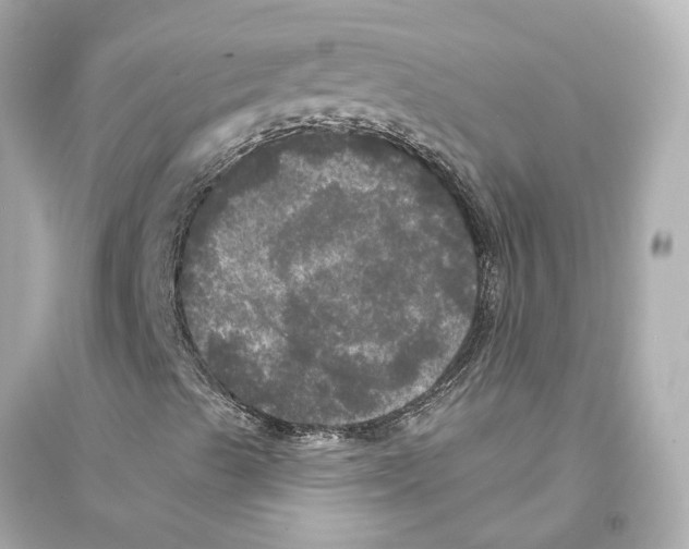 X0000093741489200711131049