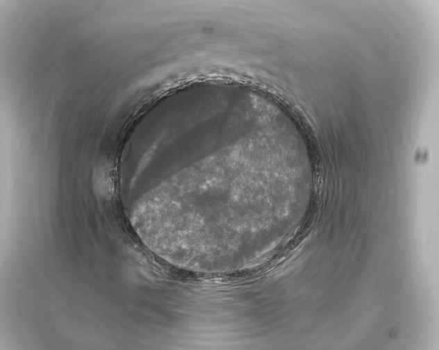 X0000093741490200711131049