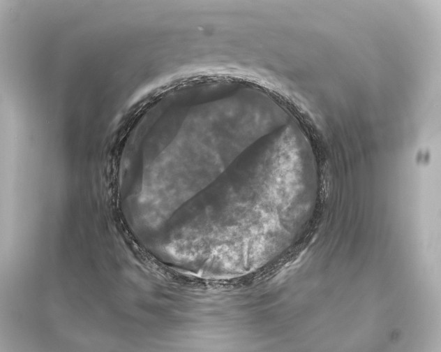 X0000093741494200711131049