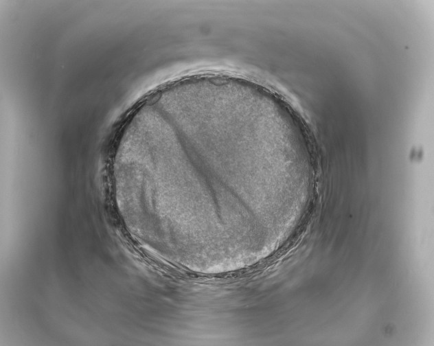 X0000093741496200711131049