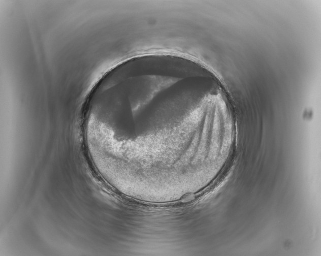 X0000093741501200711131049