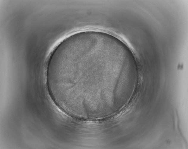 X0000093741504200711131049