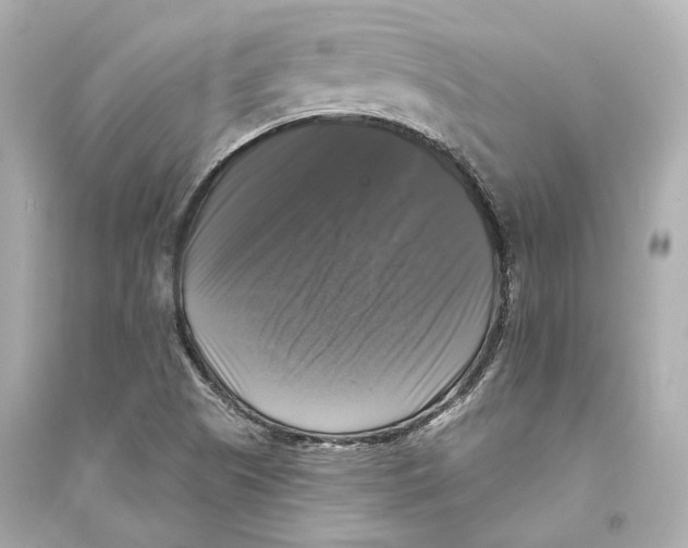 X0000093741505200711131049