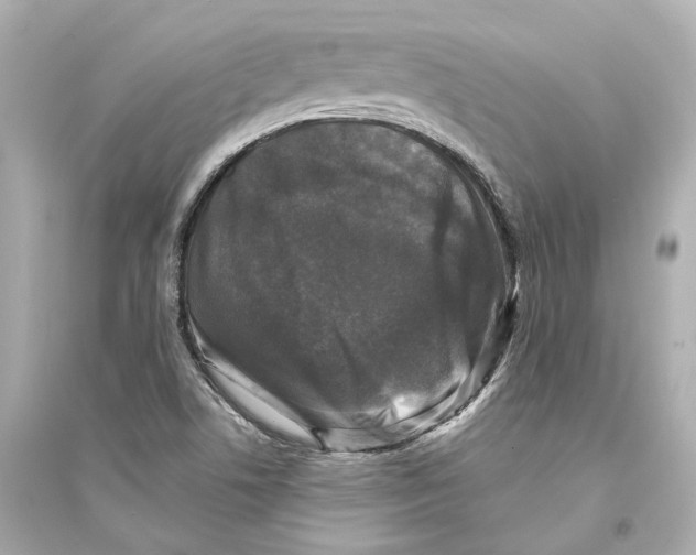 X0000093741506200711131049