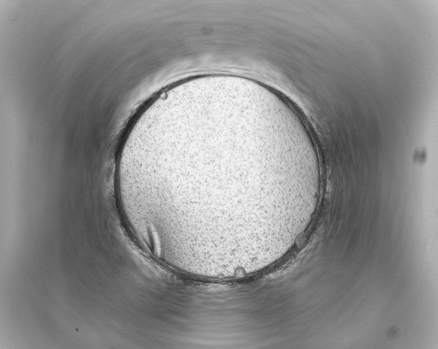 X0000093741507200711131049