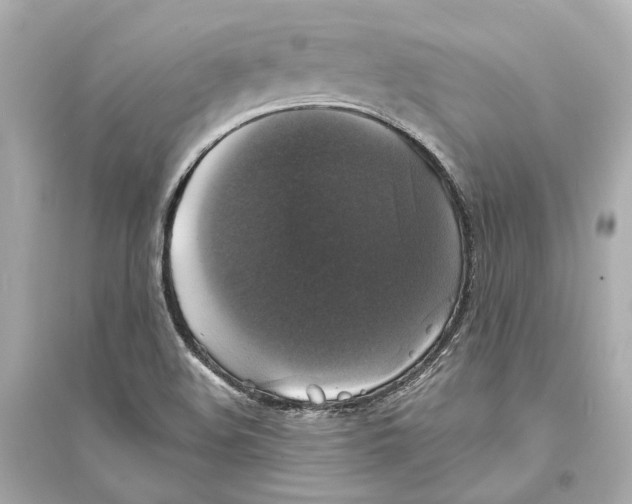 X0000093741508200711131049