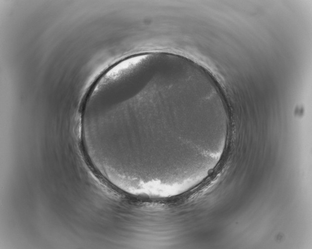 X0000093741509200711131049