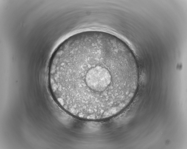 X0000093741514200711131049