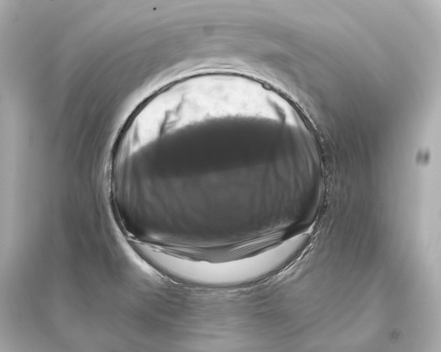 X0000093741519200711131049