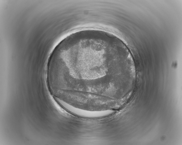 X0000093741523200711131049