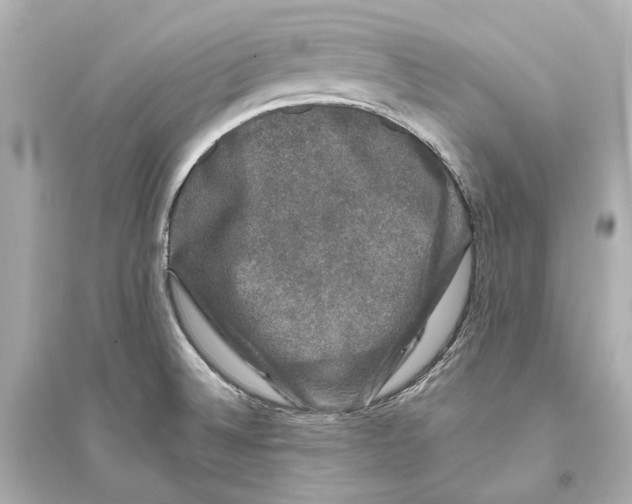 X0000093741524200711131049