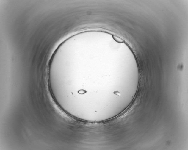 X0000093741526200711131049