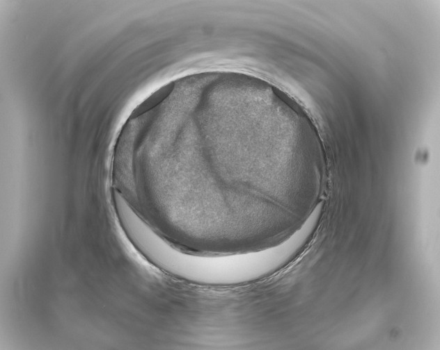 X0000093741528200711131049