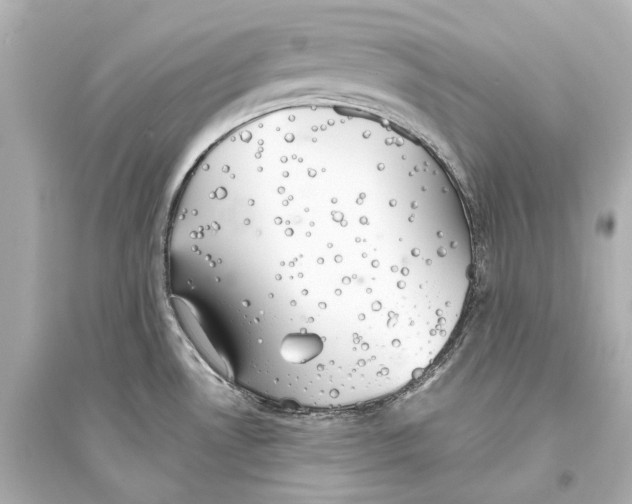 X0000093741530200711131049