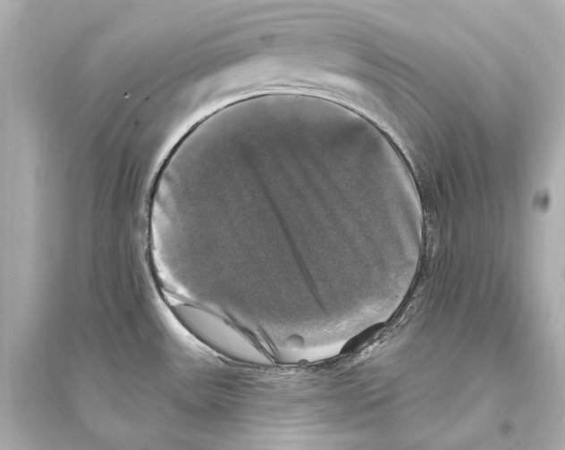 X0000093741531200711131049