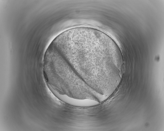 X0000093741532200711131049