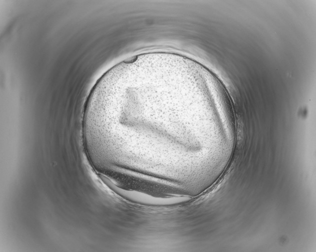 X0000093741534200711131049