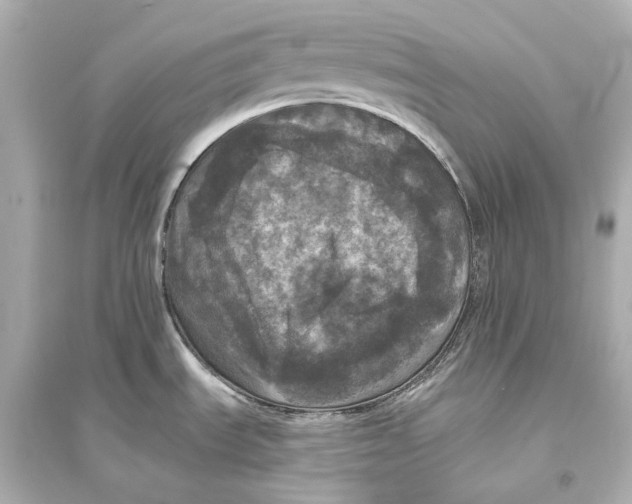 X0000093741535200711131049