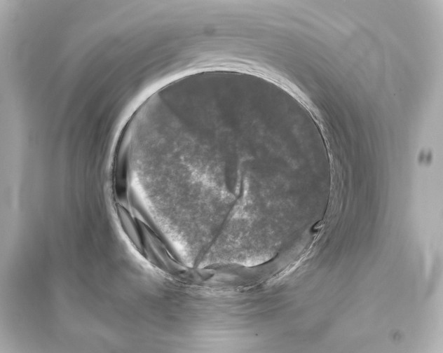 X0000093741536200711131049