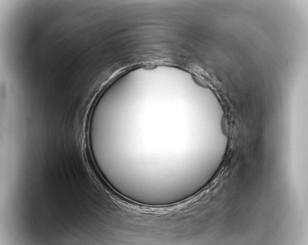 X0000093750002200710160820