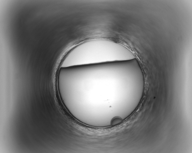 X0000093750006200710160820