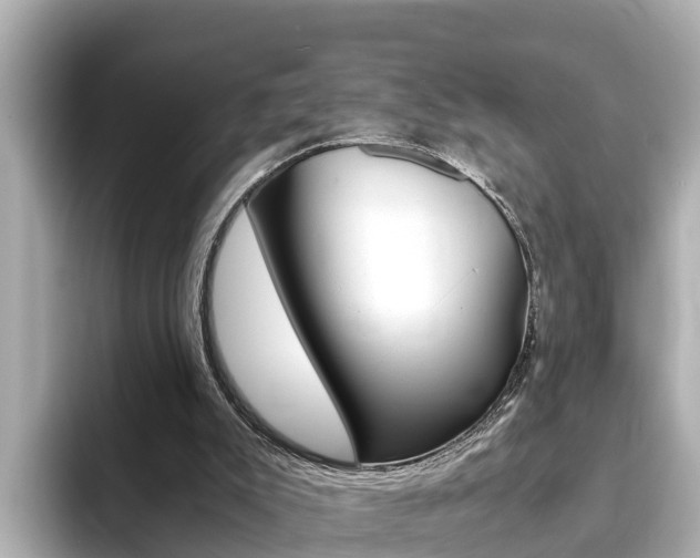X0000093750007200710160819
