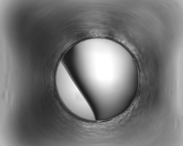 X0000093750009200710160819