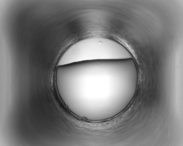 X0000093750010200710160819