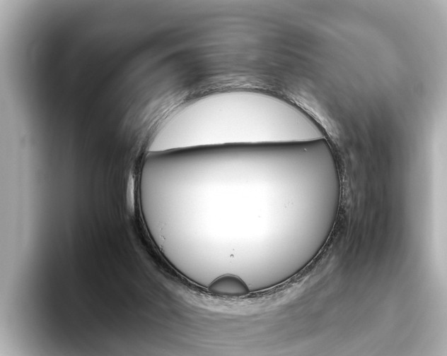 X0000093750014200710160819