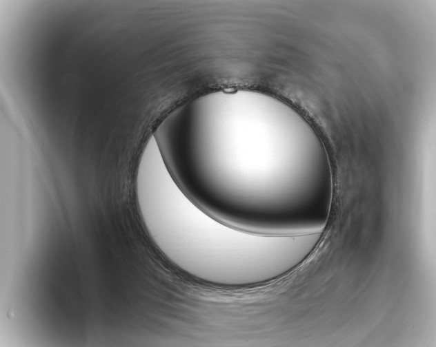 X0000093750017200710160819