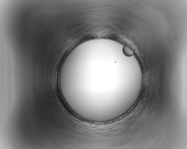 X0000093750018200710160819