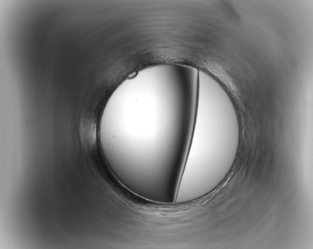 X0000093750021200710160819