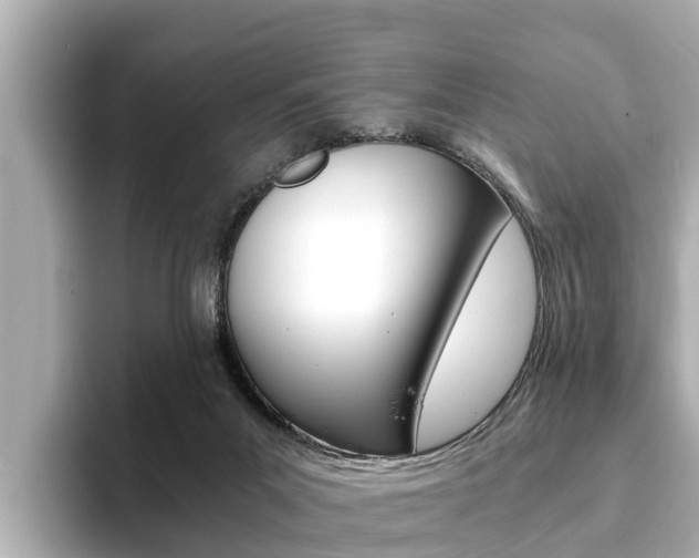 X0000093750023200710160819