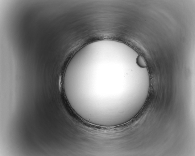 X0000093750024200710160819