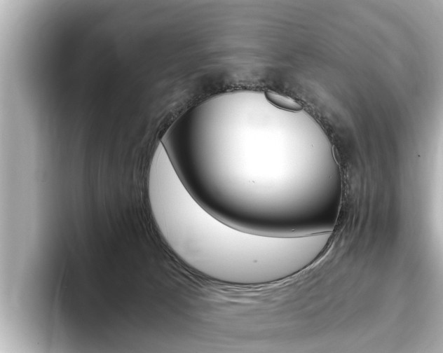 X0000093750033200710160819