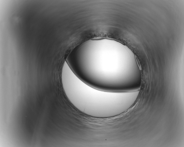 X0000093750037200710160819