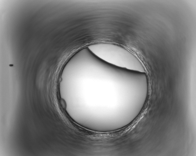 X0000093750049200710160818